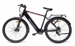 MS ENERGY eBike t10 schwarz - rot